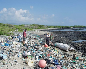 Things we throw away often end up on someone else's beach, such as Kamilo Beach pictured here