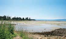 TIDE'S OUT: Scuttle Bay, known to the Sliammon people as Kleh Kwa Num, or "Tide Waters Rush In," was once a favourite fishing ground dueto the abundant fish and shellfish found on the shallow flats. Photo by Emma Levez Larocque.