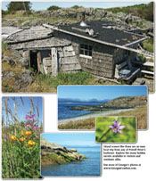 Island scenes: Click to enlarge