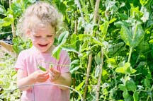 photo by Jennifer Dodd