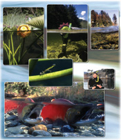 Winter 2007: Click to enlarge