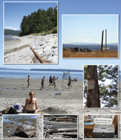 August 2008: Click to enlarge