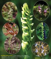 September 2008: Click to enlarge