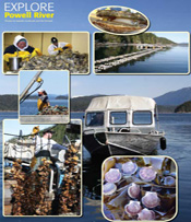 Okeover Oyster Farming