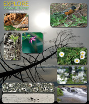 Explore Powell River